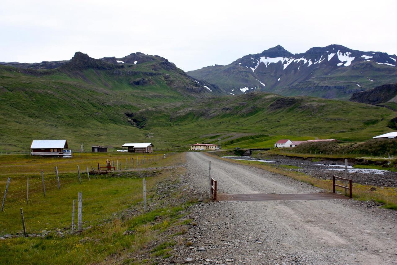 Skjolsteinar Daire Grundarfjordur Dış mekan fotoğraf